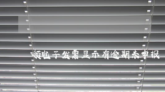 领电子发票显示有逾期未申报 领电子发票显示有逾期未申报