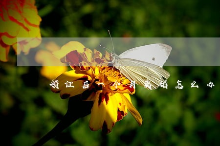 领证后一个月离婚怎么办 领证后一个月离婚怎么办