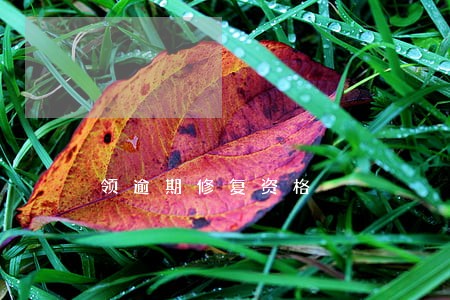 领逾期修复资格 领逾期修复资格