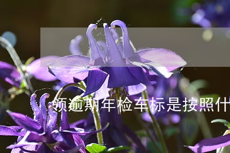 领逾期年检车标是按照什么时间算 领逾期年检车标是按照什么时间算