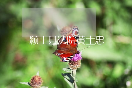 颍上县法院黄士忠 颍上县法院黄士忠