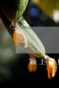 颍上律师咨询 颍上律师咨询