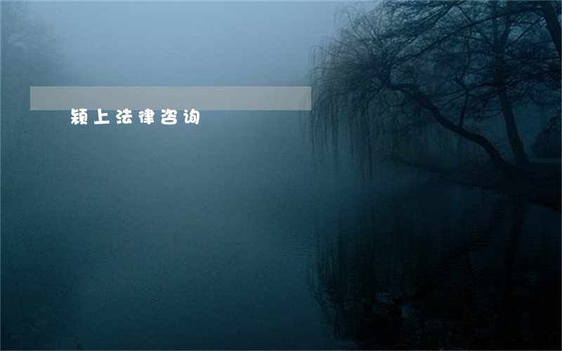颍上法律咨询