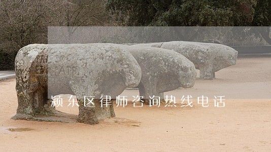 颍东区律师咨询热线电话