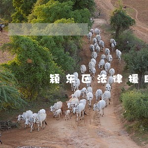 颍东区法律援助中心电话 颍东区法律援助中心电话