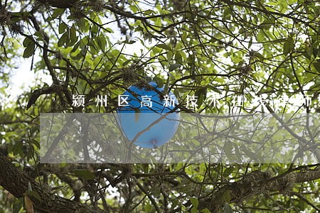 颍州区高新技术在线律师 颍州区高新技术在线律师