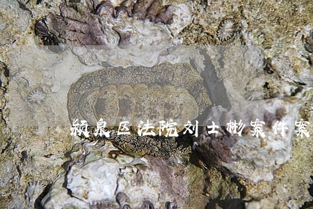 颍泉区法院刘士彬案件案 颍泉区法院刘士彬案件案