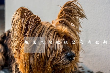 频繁使用微粒贷没有逾期 频繁使用微粒贷没有逾期