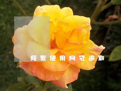 频繁使用网贷逾期