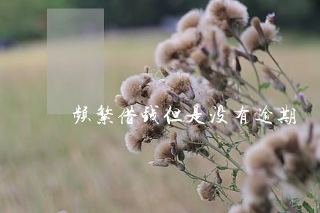 频繁借钱但是没有逾期 频繁借钱但是没有逾期