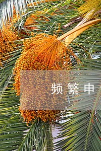 频繁申请和逾期哪个更严重 频繁申请和逾期哪个更严重