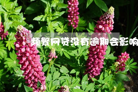 频繁网贷没有逾期会影响房贷吗 频繁网贷没有逾期会影响房贷吗