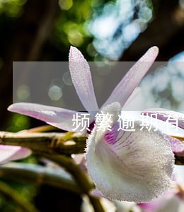 频繁逾期有三次或者三次以上 频繁逾期有三次或者三次以上
