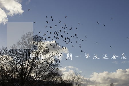 颜值卡逾期一年没还会怎么办 颜值卡逾期一年没还会怎么办