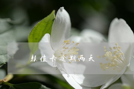 颜值卡逾期两天