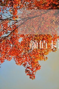 颜值卡逾期几天打电话 颜值卡逾期几天打电话