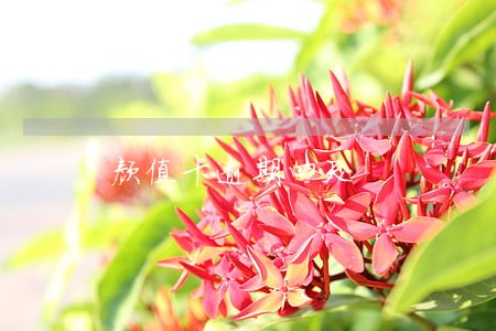 颜值卡逾期四天