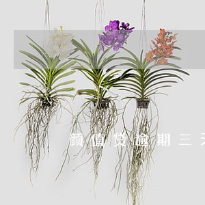 颜值贷逾期三天会怎样 颜值贷逾期三天会怎样