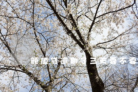 颜值贷逾期了三天要不要紧 颜值贷逾期了三天要不要紧