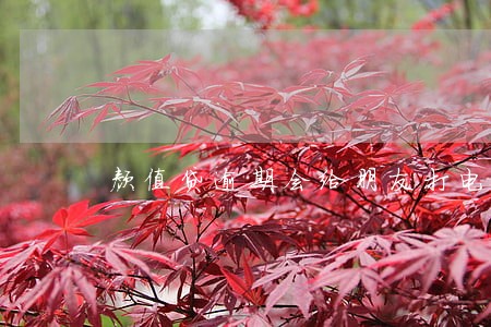 颜值贷逾期会给朋友打电话 颜值贷逾期会给朋友打电话