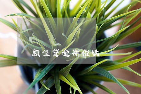 颜值贷逾期催收