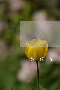 颜值贷逾期催款方式 颜值贷逾期催款方式