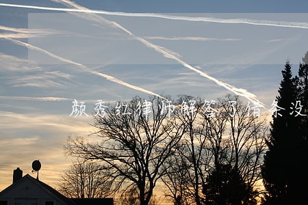 颜秀红律师解答了借条没约定利息 颜秀红律师解答了借条没约定利息