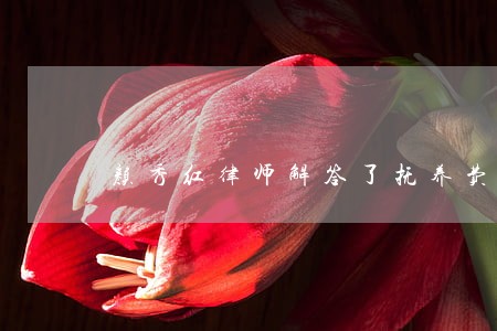 颜秀红律师解答了抚养费大概多少 颜秀红律师解答了抚养费大概多少