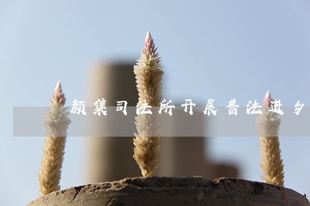 颜集司法所开展普法进乡村活动 颜集司法所开展普法进乡村活动