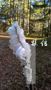 额信用卡逾期被冻结 额信用卡逾期被冻结