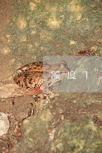 额度1万信用卡逾期3个月 额度1万信用卡逾期3个月