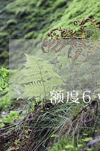 额度6w信用卡逾期