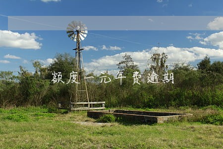 额度一元年费逾期 额度一元年费逾期