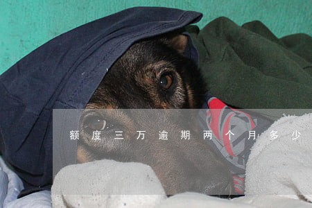 额度三万逾期两个月多少利息