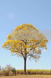 额度五千的工商信用卡逾期3年 额度五千的工商信用卡逾期3年