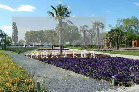 额度共享卡逾期