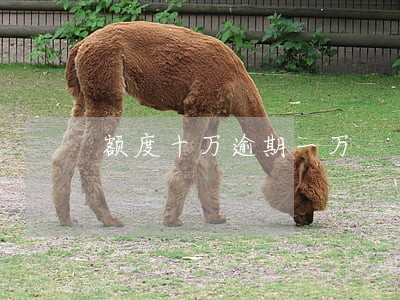 额度十万逾期一万 额度十万逾期一万