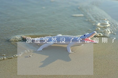 额度突然没了全部逾期了 额度突然没了全部逾期了