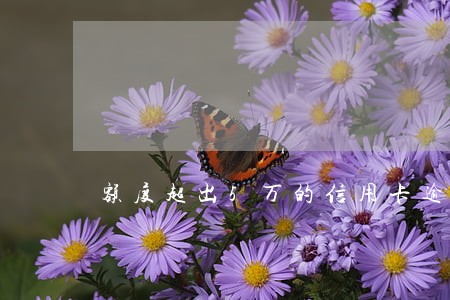额度超出5万的信用卡逾期了