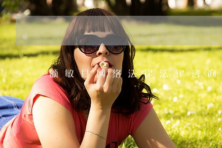 额敏县网络法律法律咨询 额敏县网络法律法律咨询