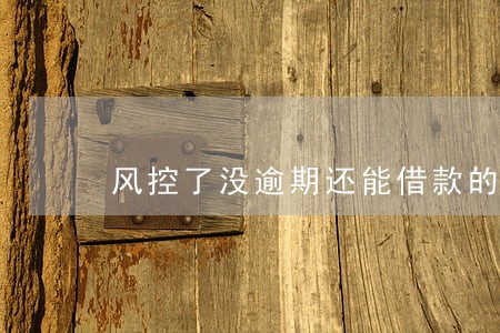 风控了没逾期还能借款的口子 风控了没逾期还能借款的口子