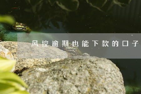 风控逾期也能下款的口子 风控逾期也能下款的口子