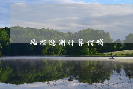 风控逾期计算代码 风控逾期计算代码