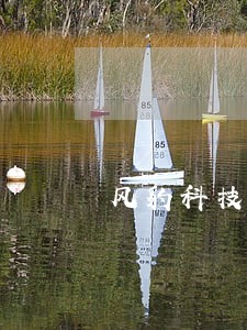 风豹科技逾期扣款 风豹科技逾期扣款