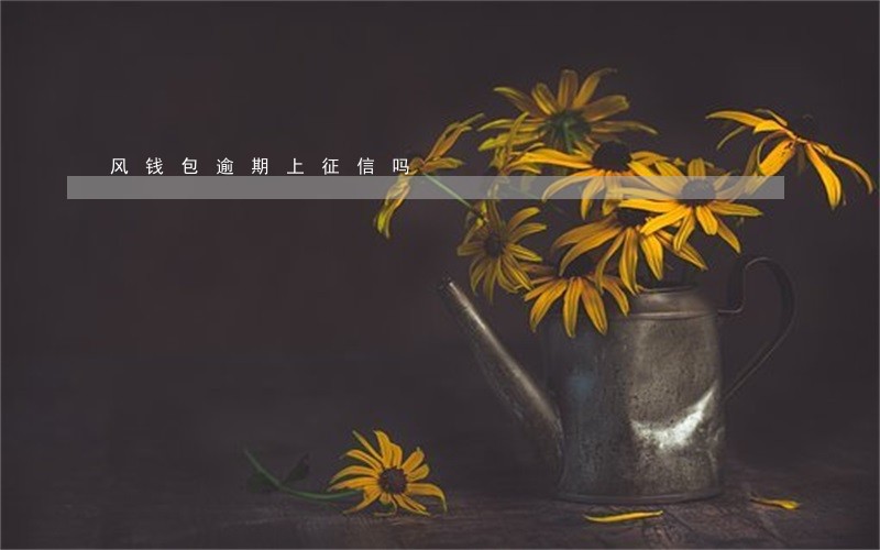 风钱包逾期上征信吗 风钱包逾期上征信吗
