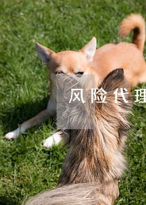 风险代理违法