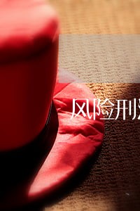 风险刑法的启示与警惕 风险刑法的启示与警惕