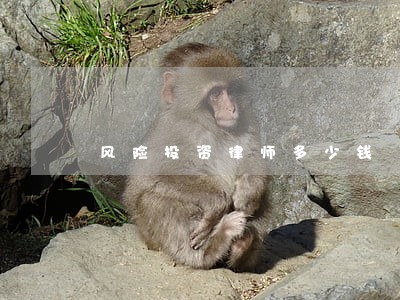 风险投资律师多少钱 风险投资律师多少钱