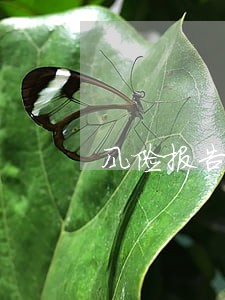 风险报告费用逾期影响征信吗 风险报告费用逾期影响征信吗