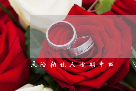 风险纳税人逾期申报 风险纳税人逾期申报